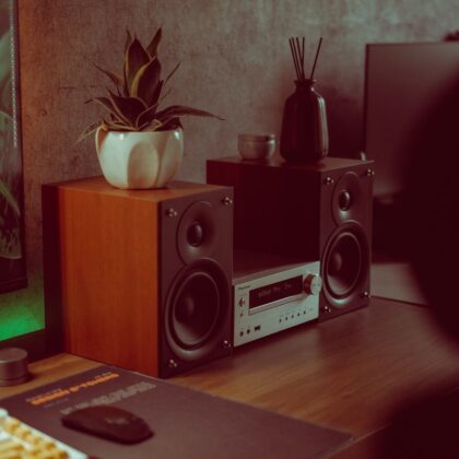 Mini Desktop Speakers