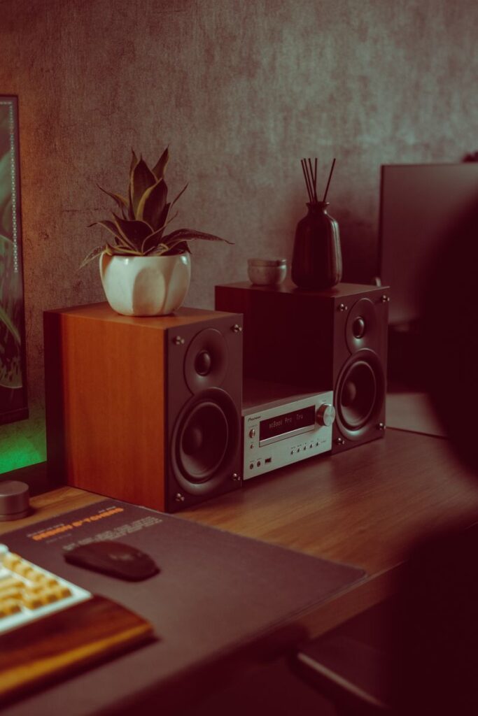 Mini Desktop Speakers